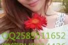 专业办理新加坡工作     费用低   办理快qq258951652