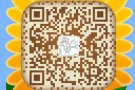 中文销售，不需要英文！！　ＳＰ　　ＷＰ！！　QQ＆微信 ：3186874787