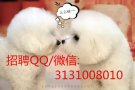 文员单子  加微信3131008010查看更多高薪好工作 欢迎咨询