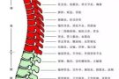 正规按摩中式指压，上门服务