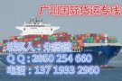中国到新加坡海运物流公司