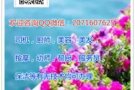 司机，美容，按摩，啤酒销售QQ微信：2071607625