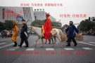 海运家具，淘宝货，服装，机械等货物广州至新加坡货运报关双清，派送到门