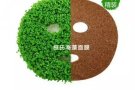 纯天然海藻面膜