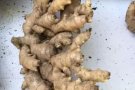 纯正新鲜文冬姜