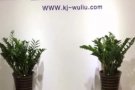 海运新加坡双清门到门，价格低，时效快，清关能力强，有货可以找我