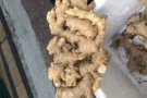  纯正文冬姜/姜粉/姜片/姜茶//微信/whatsapp84270875