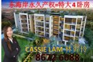 *景万岸*地铁东部新楼盘永久产权地点佳名校东海岸公园4房1216平方尺已竣工