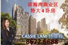 滨海湾新楼盘滨海盛景豪苑特大2/3卧房私人电梯！独特设计！新加坡金融区连接地铁站
