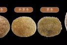 豪猪枣(箭猪枣) 来自大马箭猪枣 有意请联络98930070 