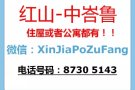 新加坡全岛整套房出租（4+1，3+1，2+1）快来询问！