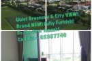 看绿色风景、近山景地铁站、全新一间卧室Hillview Peak公寓出租  