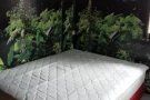 淡滨尼34街   地铁站 。单间出租