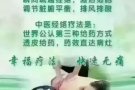 DDS生物电科技经络疗法 :无痛的渗透技术，瞬间打通经络