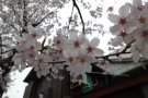 ^o^)/YES！空调服务98964831 我们以诚信  负责  专业为本  