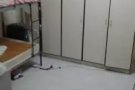 巴西立大牌104主人房4人间男搭房缺一人24小冷气，房子人少干净可报地址。