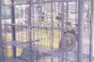 承接各种烧焊安装工作