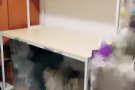 搬家转让8成新书桌