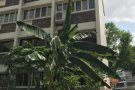 靠近后港三道德福工业区公寓主人房出租（大牌713）