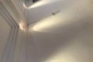 多年专业粉刷室内油漆！五年新加坡油漆经验！排屋！组屋！公寓！洋房！处理油漆各种问