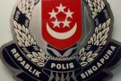 快速办理新加坡汽车和摩托驾照，只考理论，拿到驾照后付全款