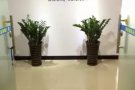 海空运白菜价，中-新专线（双清门到门）380RMB/立方，13711077030