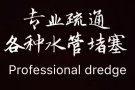 专业疏通下水道，全岛上门服务疏通马桶，洗菜池，地漏 全天24小时上门服务。