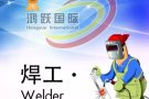 新加坡技术类工作汇总 qq & 微信 3081667835  欢迎咨询