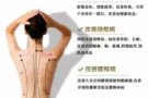 中医理疗—让您的身体快速恢复青春活力