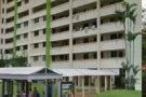 义顺701-3屋组屋出售7分钟到地铁站，看了 周圍 環境 滿意才談價錢