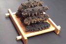 人参、鹿茸、孢子粉、海参