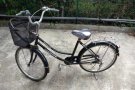 公主车