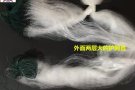 出售全新三层丝挂，飞盘撒网