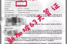 各国电子签证