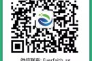 新加坡秘书公司的指责