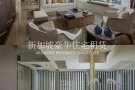  Ardmore Residence 新加坡乌节路豪华公寓出租 