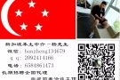 新加坡本土中介 费用低办理速度快 微信：6584861473