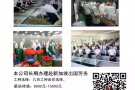 新加坡文员大全 一手单工作汇总A15554492922
