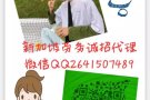 3号！4号！5号国内司机新单来袭！中介公司 ，工作加微信2641507489