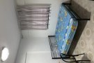 Blk240 bt Batok （武吉巴督）普通房间短期出租