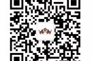 招聘行政，出纳