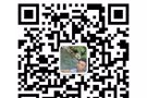 急聘女普工薪水1700 月休4天详询 微信：17761279613