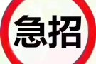 急招4号司机  高薪 包吃包住