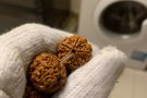出售金刚菩提手串