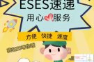 2es代运代购服务