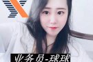 办理中国人到新加坡寻找工作等，，，，业务咨询 微信：18946635232