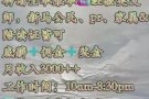 淡滨尼头发店高薪