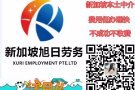 新加坡一手工作销售单（详询+V）