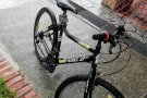 自用自行车🚲一辆