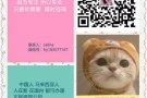 WP普工或面包师,综合2500，微信hy183577147